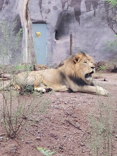 Zoo «Phoenix Zoo», reviews and photos, 455 N Galvin Pkwy, Phoenix, AZ 85008, USA