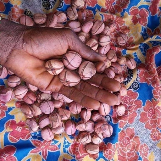 Post Office «United States Postal Service», reviews and photos, 211 Hope St, Mountain View, CA 94041, USA