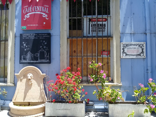 Canguro Valparaiso