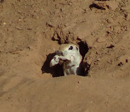 Sendero Ecológico de la Laguna México photo