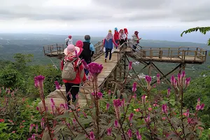 Wisata Bukit Taman Pemedengan image