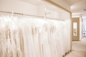 Wedding Dresses & Bridal Fashion Lecher image