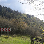 Photo n°1 de l'avis de Nina.a fait le 03/10/2017 à 14:53 sur le  Burgrestaurant Altenbaumburg à Altenbamberg