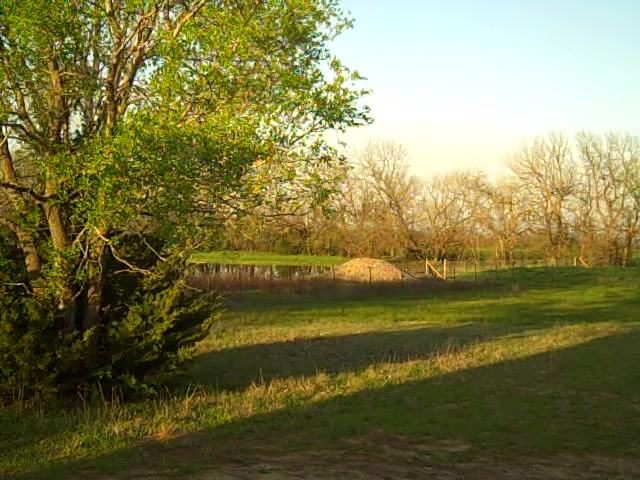 Rawhide Ranch Dog Boarding