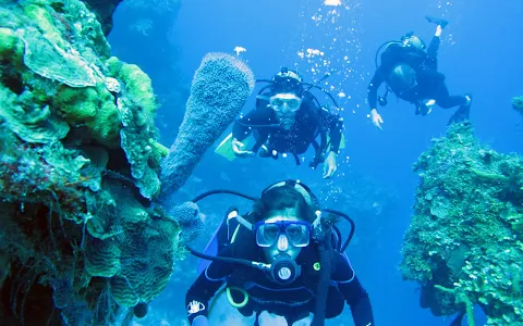 Cancun Scuba Center image