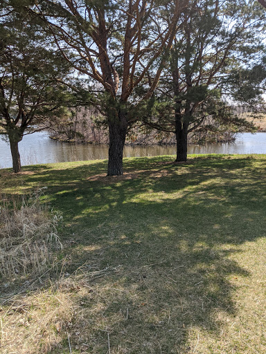 Park «Smith Park», reviews and photos, 8155 Park Ave S, Bloomington, MN 55420, USA