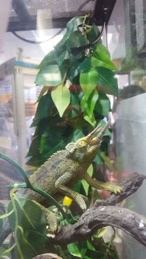 Pet Store «All Pets Club», reviews and photos, 405 Queen St, Southington, CT 06489, USA