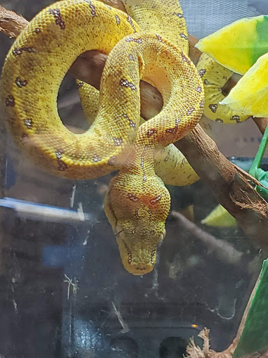 Pet Store «A Family Pet Center», reviews and photos, 6230 N Lockwood Ridge Rd, Sarasota, FL 34243, USA