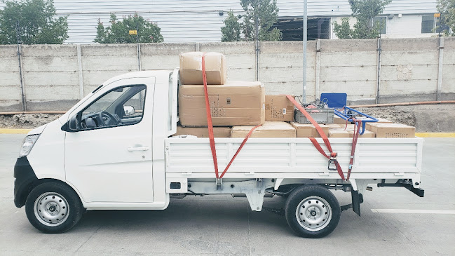 Teléfono de Transportes El Chino Valdez