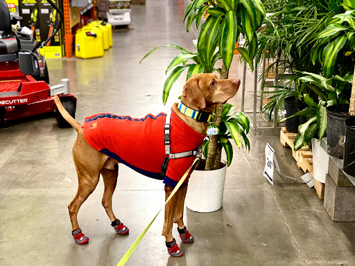 Home Improvement Store «The Home Depot», reviews and photos, 20260 SW Pacific Hwy, Sherwood, OR 97140, USA