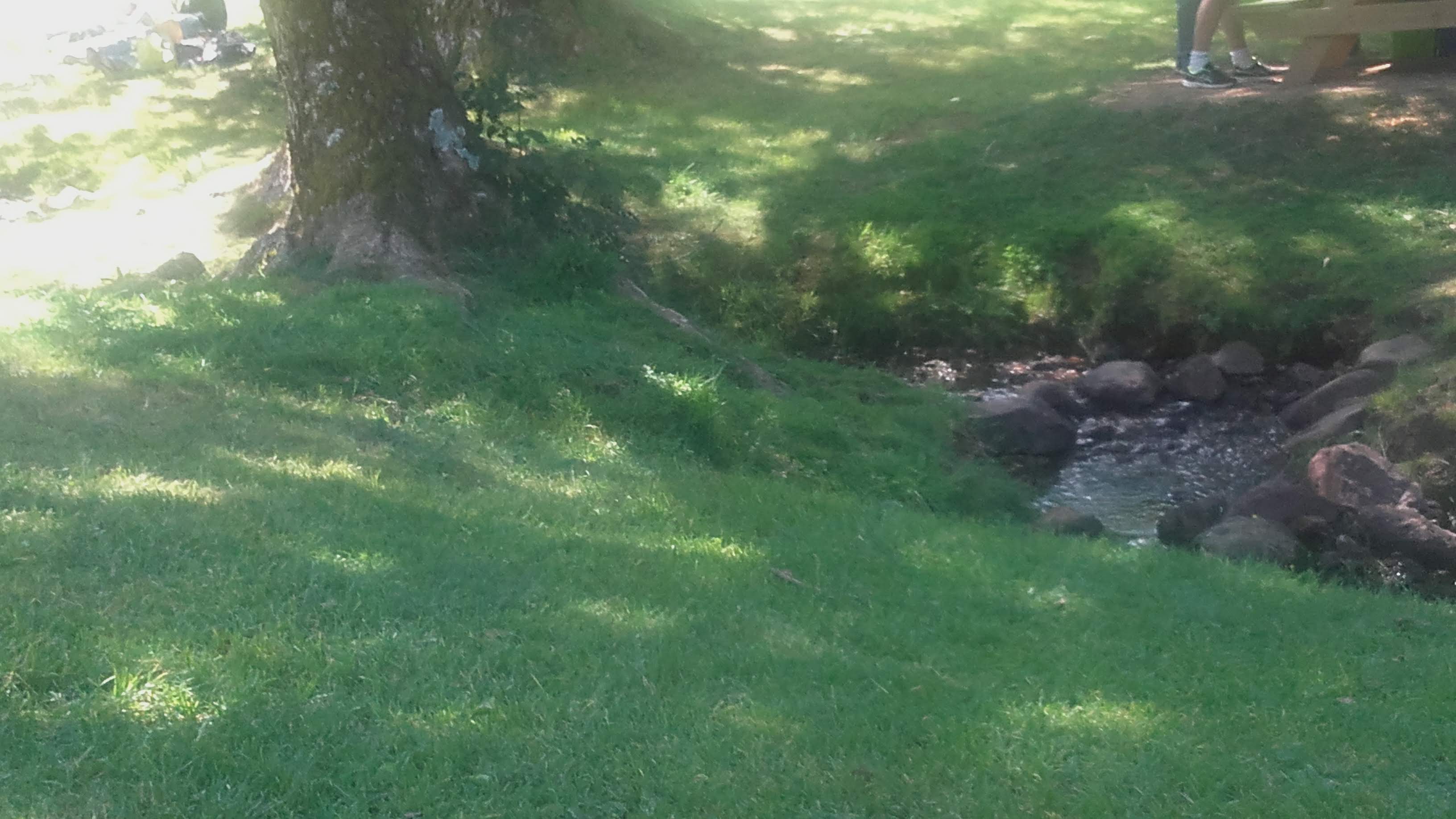 Photo n° 1 de l'avis de Eno.i fait le 14/08/2018 à 15:52