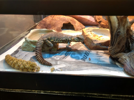 Pet Store «Moby Dick Pet Store Inc», reviews and photos, 3700 Sashabaw Rd, Waterford Twp, MI 48329, USA