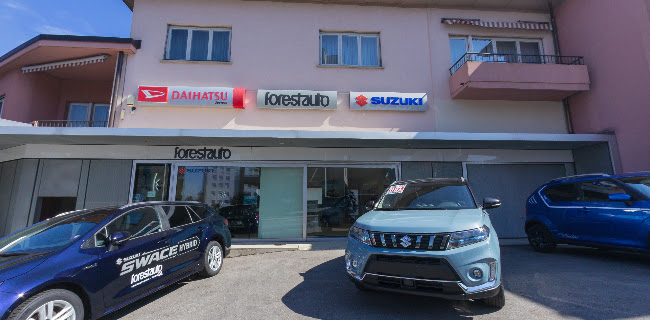 Rezensionen über Forestauto SA in Mendrisio - Autowerkstatt