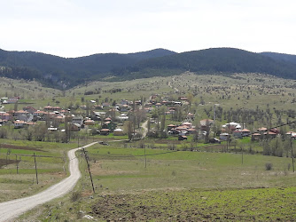 Ahmetoğlu Köyü Muhtarlığı