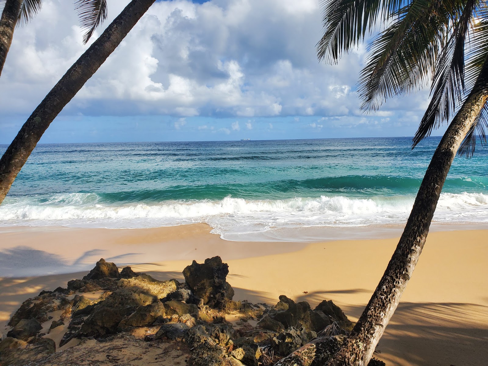 Photo of Escondida beach with turquoise pure water surface