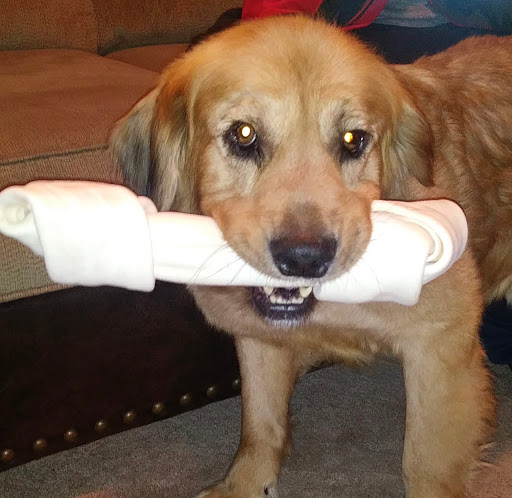 Pet Supply Store «Pet Supplies Plus», reviews and photos, 7315 Mentor Ave, Mentor, OH 44060, USA