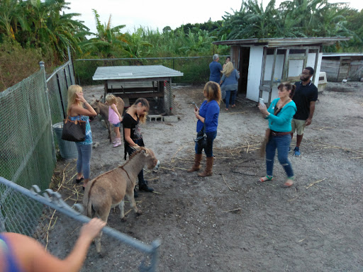 Winery «Sons & Daughters Farm and Winery», reviews and photos, 5926 Fearnley Rd, Lake Worth, FL 33467, USA