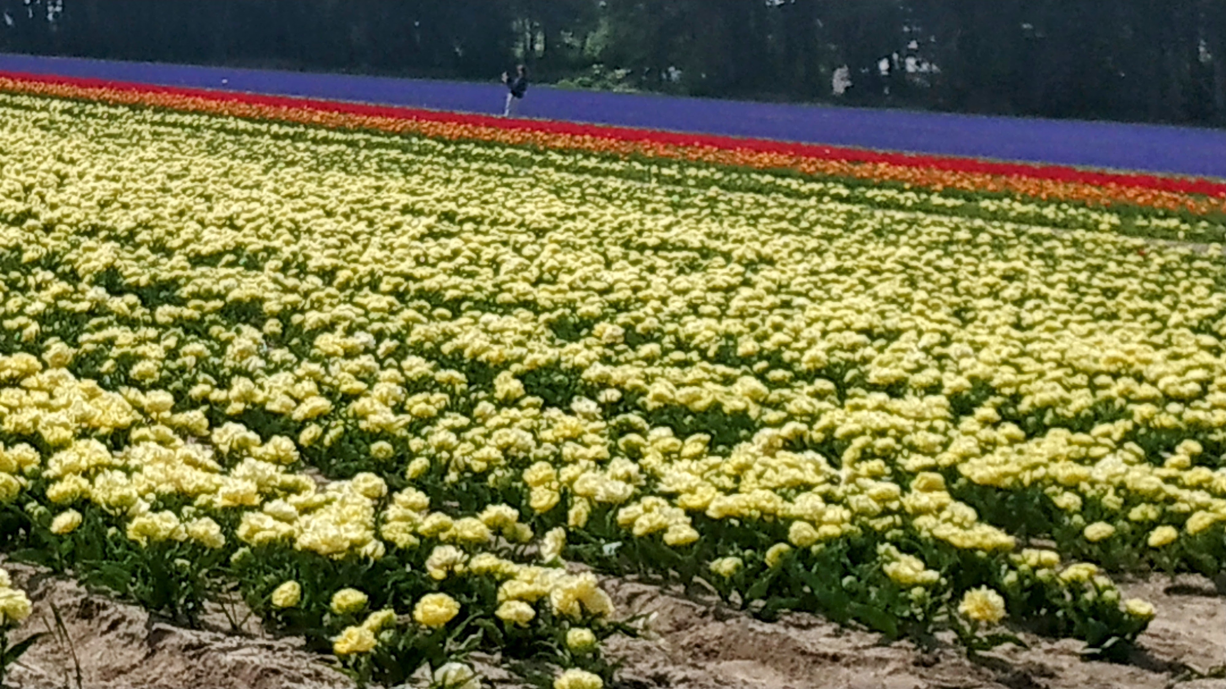 Photo n° 36 de l'avis de The.a fait le 05/04/2023 à 21:57