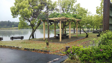 恵美須池 水鳥公園