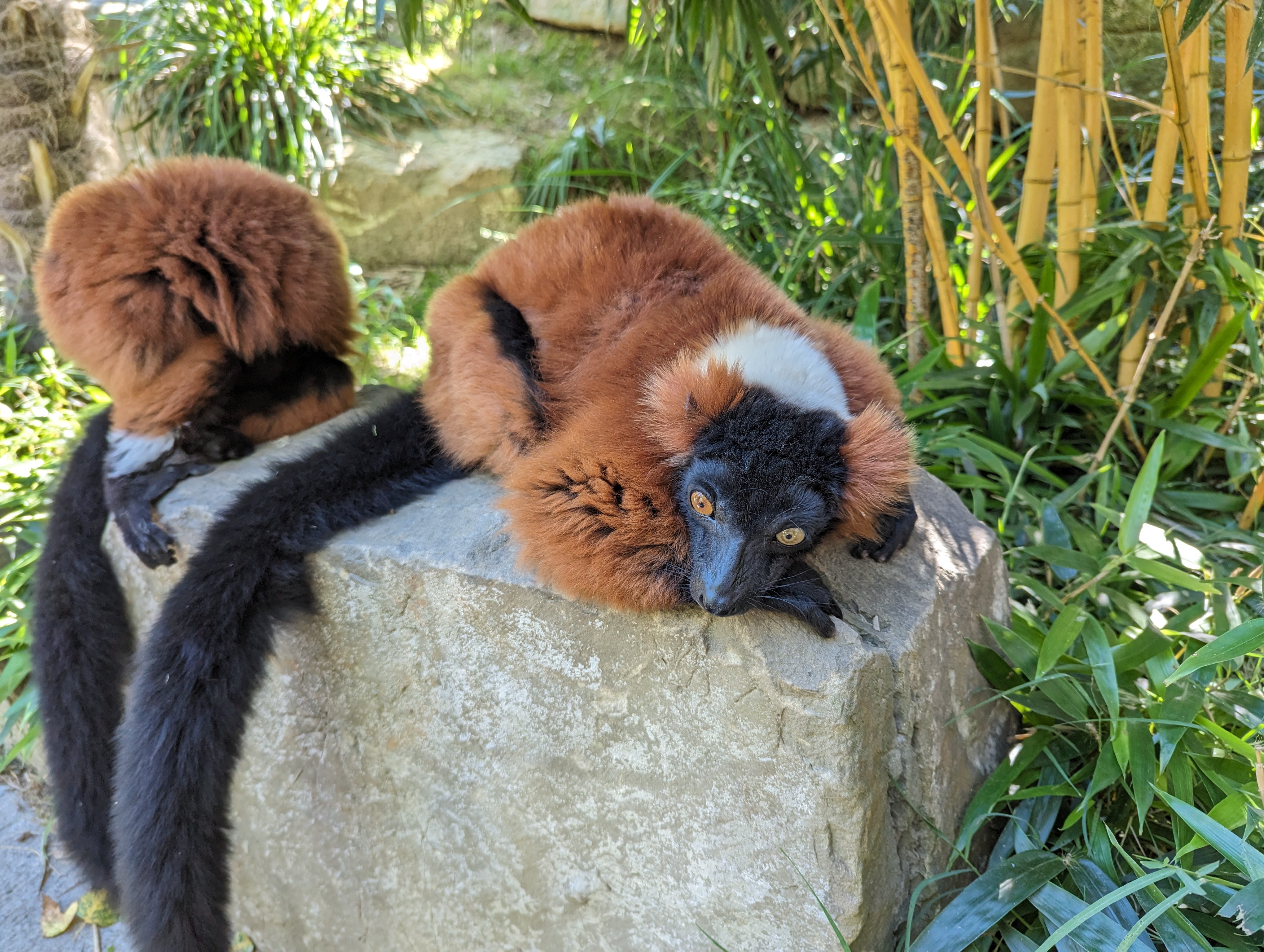 Photo n° 43 de l'avis de Thibaud.l fait le 10/10/2023 à 07:10