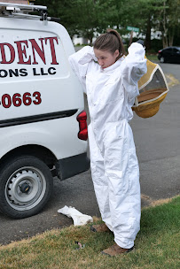 Independent Pest Solutions - Photo 4 - Car repair in , Tacoma