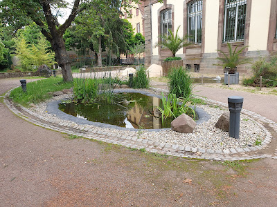 Jardin Public Interreligieux - Association Cultures et Religions à Saverne