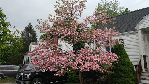 Golf Club «Braintree Municipal Golf Course», reviews and photos, 101 Jefferson St, Braintree, MA 02184, USA