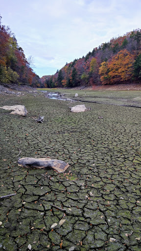 Nature Preserve «Mianus River Gorge Preserve», reviews and photos, 167 Mianus River Rd, Bedford, NY 10506, USA