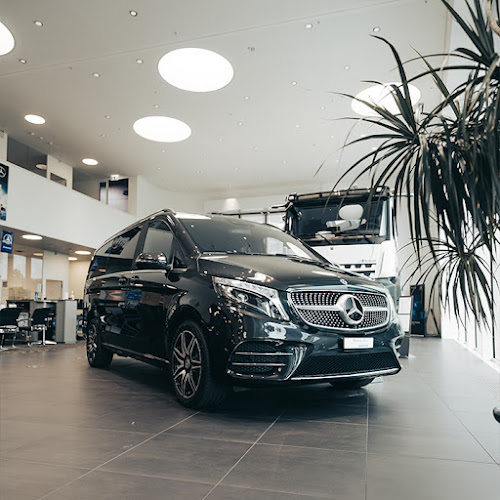 Rezensionen über Kestenholz Automobil AG, Nutzfahrzeug Center Pratteln (Mercedes-Benz) in Muttenz - Autohändler