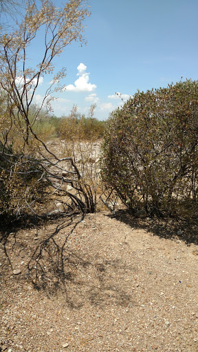 Country Club «Ancala Country Club», reviews and photos, 11700 E Vía Linda, Scottsdale, AZ 85259, USA