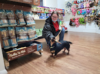 WOW Pets - Photo 8 - Car repair in Bensalem, PA, Philadelphia