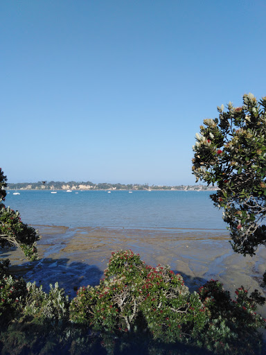 Anderson's Beach Reserve