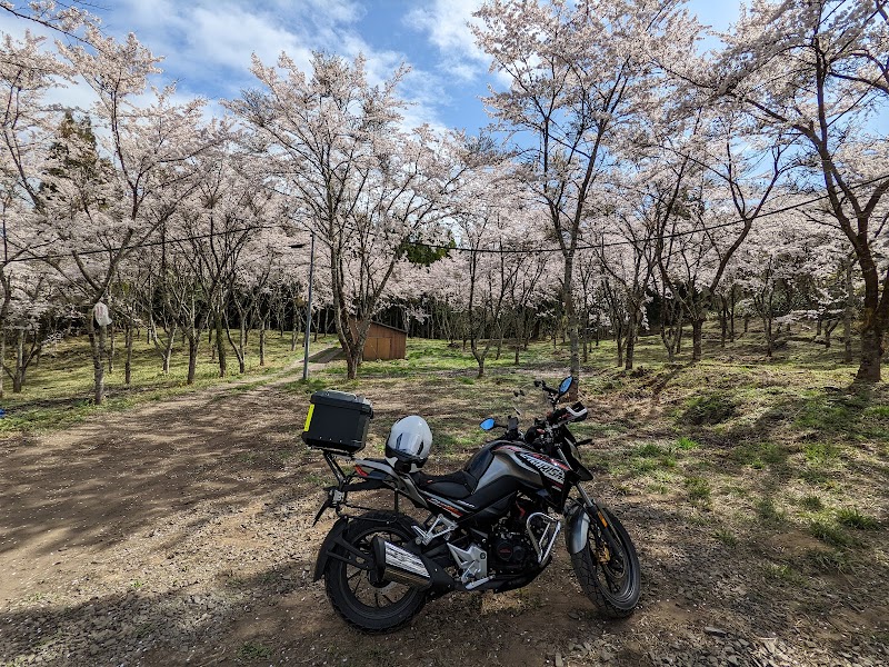 多里桜公園
