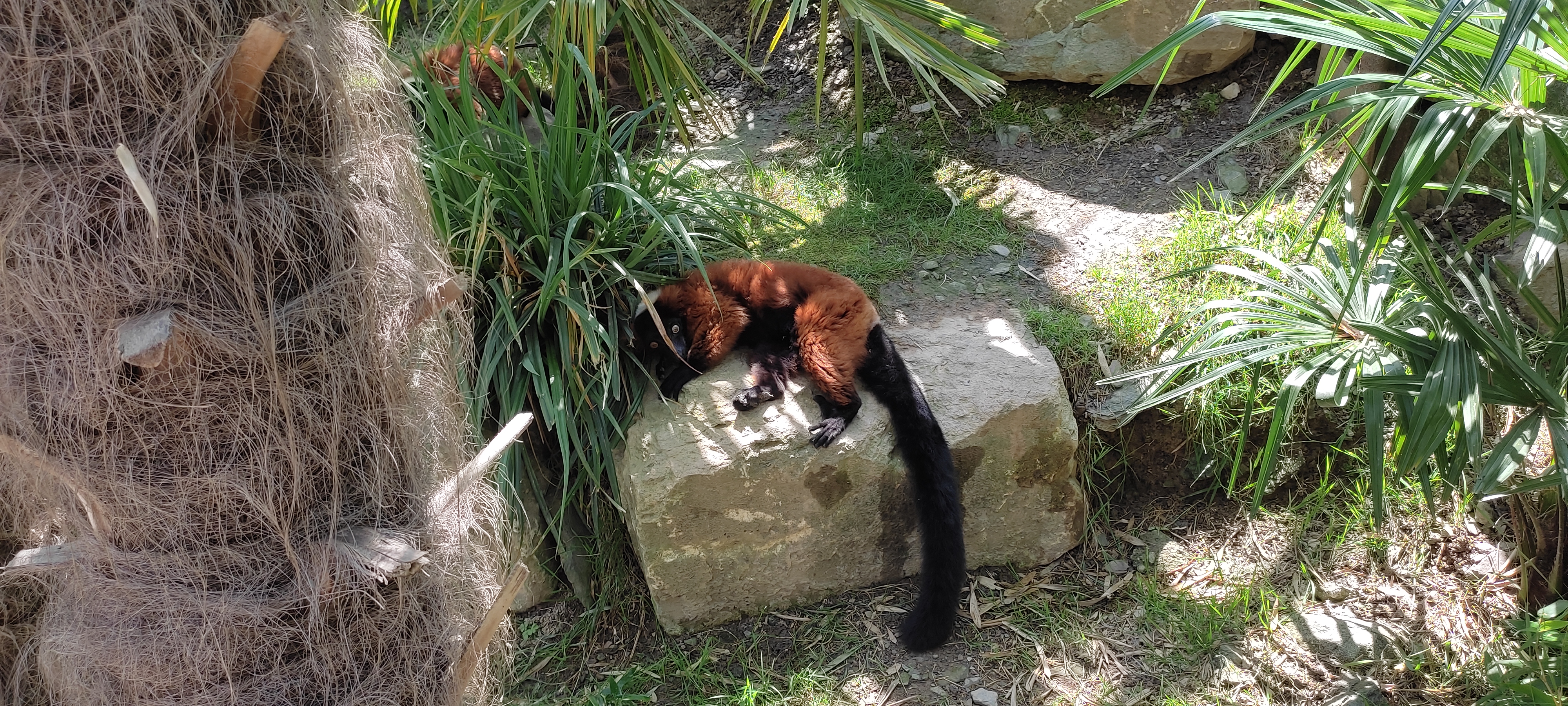 Photo n° 9 de l'avis de albane16.c fait le 16/07/2022 à 20:11