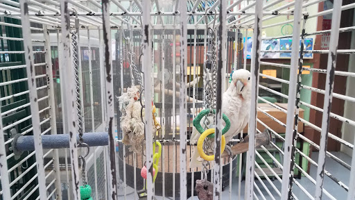 Pet Store «Pettin Place», reviews and photos, 1121 S Wells Ave, Reno, NV 89502, USA
