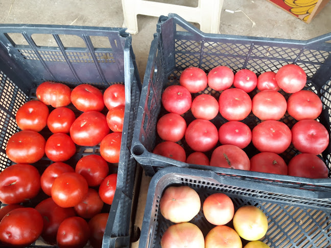 Света Неделя - Благоевград