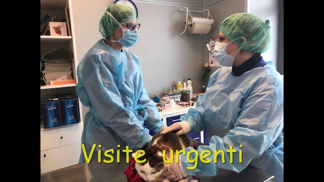 Clinica Veterinaria Meda - Meda