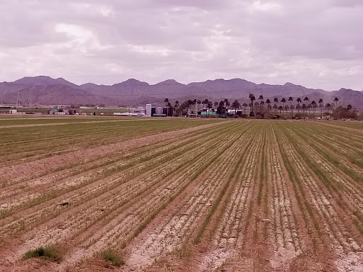 Presidential Mansioncare LLC