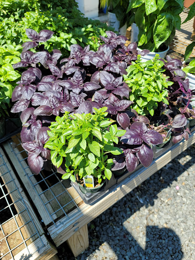 Farm «Dreyer Farms», reviews and photos, 831 Springfield Ave, Cranford, NJ 07016, USA