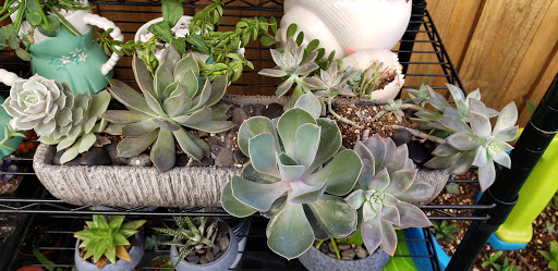 Shoe Store «SKECHERS Factory Outlet», reviews and photos, 250 E Palm Dr #160, Florida City, FL 33034, USA