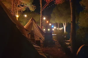 Snaw_bar_camping image
