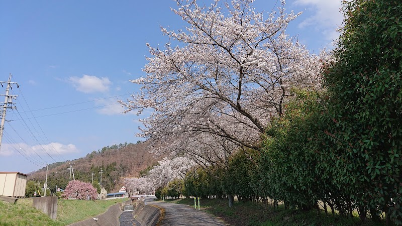 須高広域総合プール サマーランド