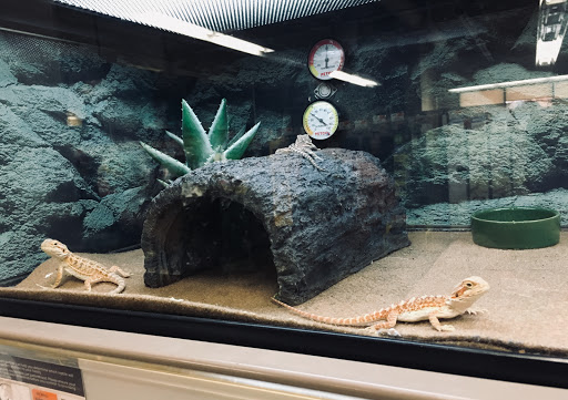 Pet Supply Store «Petco Animal Supplies», reviews and photos, 1391 NJ-35, Middletown, NJ 07748, USA