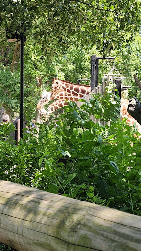 Zoo «Tropic World», reviews and photos, 3300 Golf Rd, Brookfield, IL 60513, USA