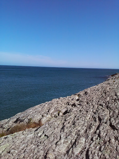 Nature Preserve «Norman Bird Sanctuary», reviews and photos, 583 3rd Beach Rd, Middletown, RI 02842, USA