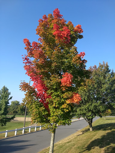 Park «Ghiloni Park», reviews and photos, 239 Concord Rd, Marlborough, MA 01752, USA