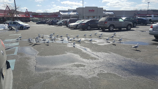 Dollar Store «Dollar Tree», reviews and photos, 3236 PA-940 #107, Mt Pocono, PA 18344, USA