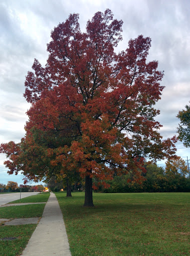 Golf Course «Whispering Willows Golf Course», reviews and photos, 20500 Newburgh Rd, Livonia, MI 48152, USA