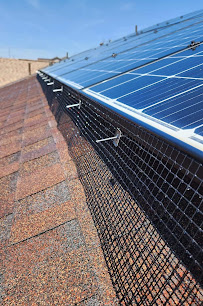 4G PEST MANAGEMENT - Photo 8 - Car repair in Buena Park, CA, Long Beach