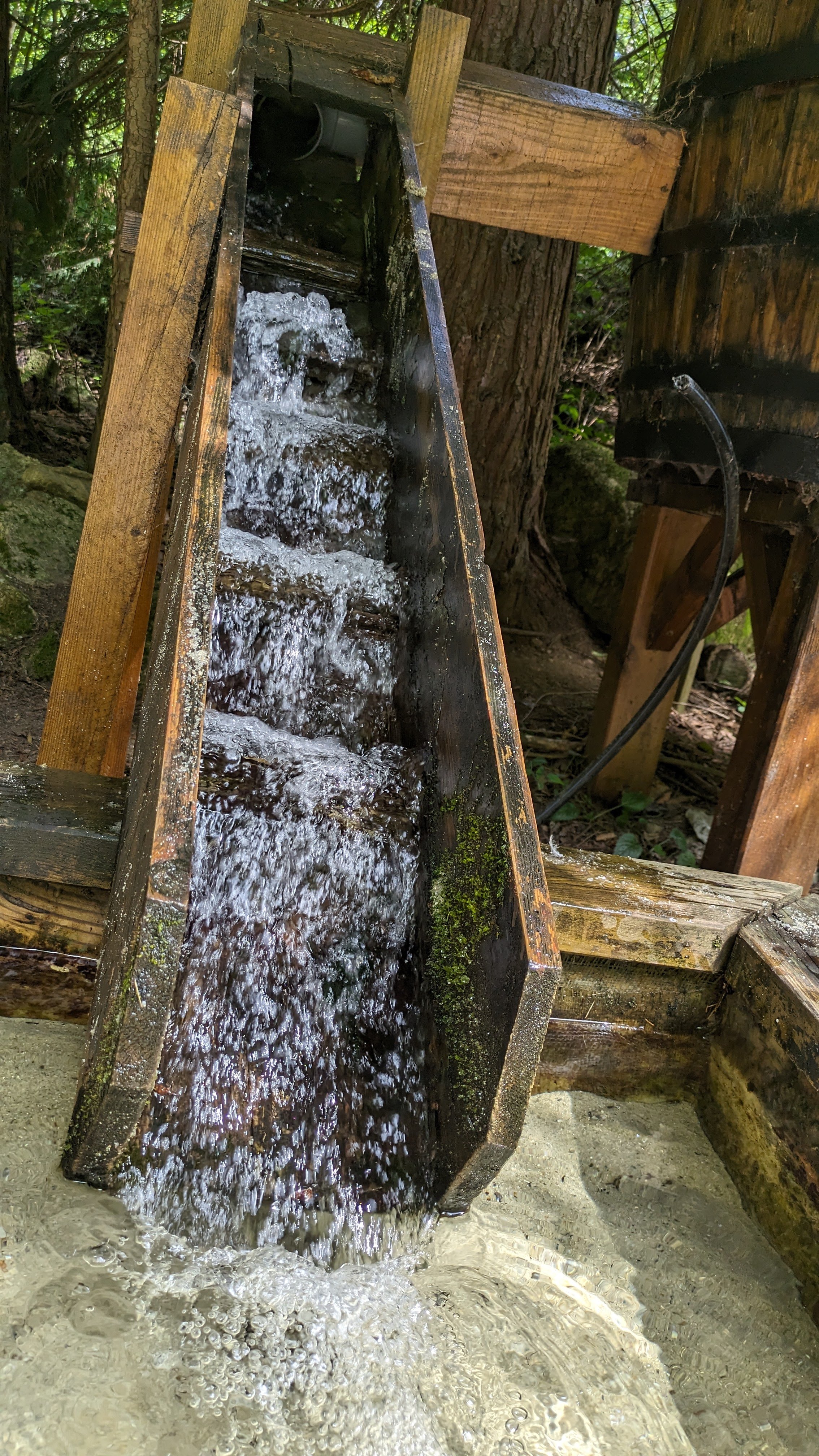 Photo n° 21 de l'avis de Dada.e fait le 15/08/2023 à 12:32